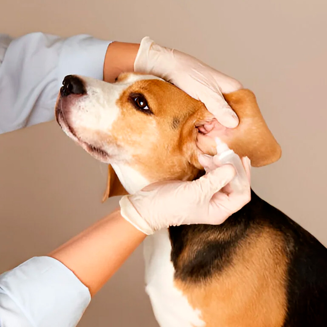 Imagem Dermatologia
