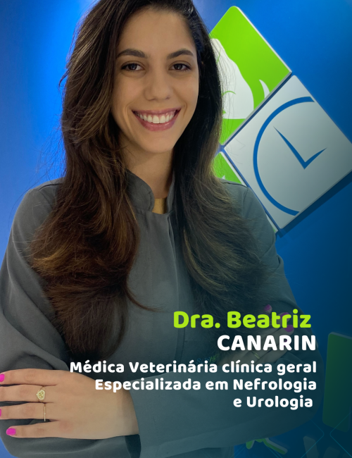 APRESENTAÇÃO VETS